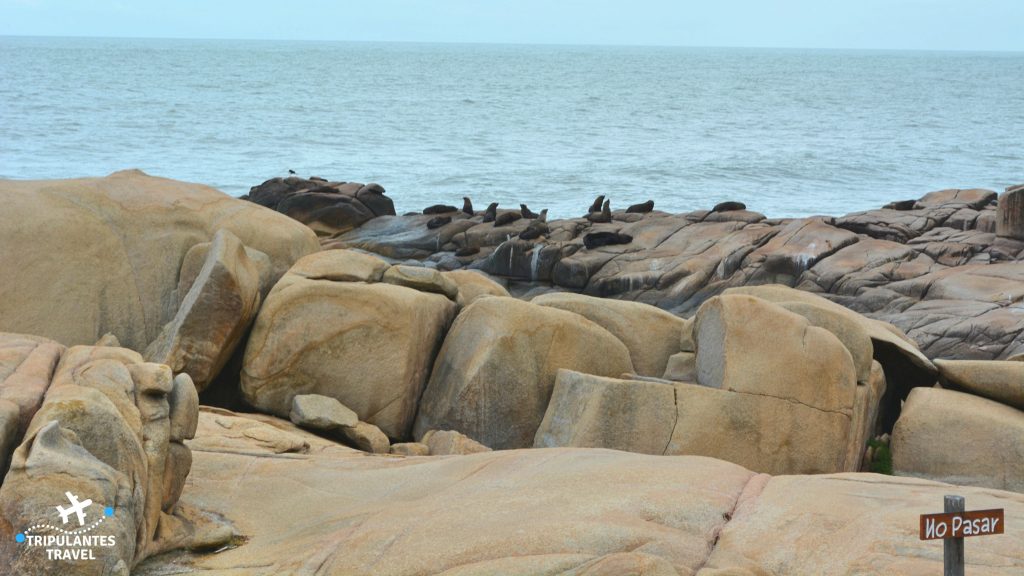 Cabo Polonio 6 1024x576 - Cabo Polônio no Uruguai: Guia para visitar a reserva ecológica