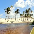 maracajau e punau 120x120 - Maracajaú: Descubra o caribe do Rio Grande Do Norte