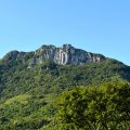 pedra branca 120x120 - Cascata da Pedra Branca em Três Forquilhas