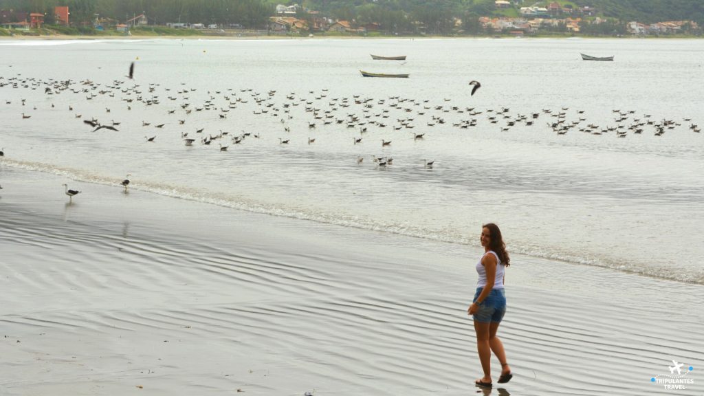 Canto esquerda da praia onde saem os barcos de pesca