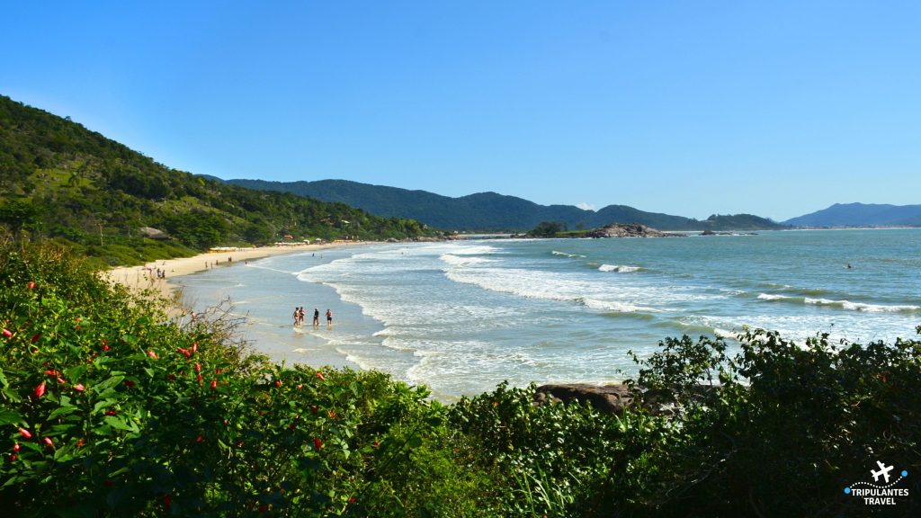 DSC 0479 1 1024x576 - Conheça as praias do Sul de Florianópolis
