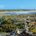 punta del diablo 3 120x120 - Tudo o que você precisa saber sobre Garopaba