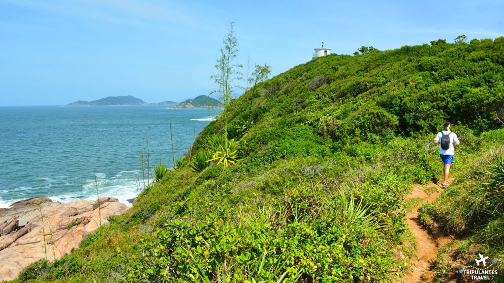 Praia de Naufragados no sul de Florianópolis - Trilha de acesso ao farol