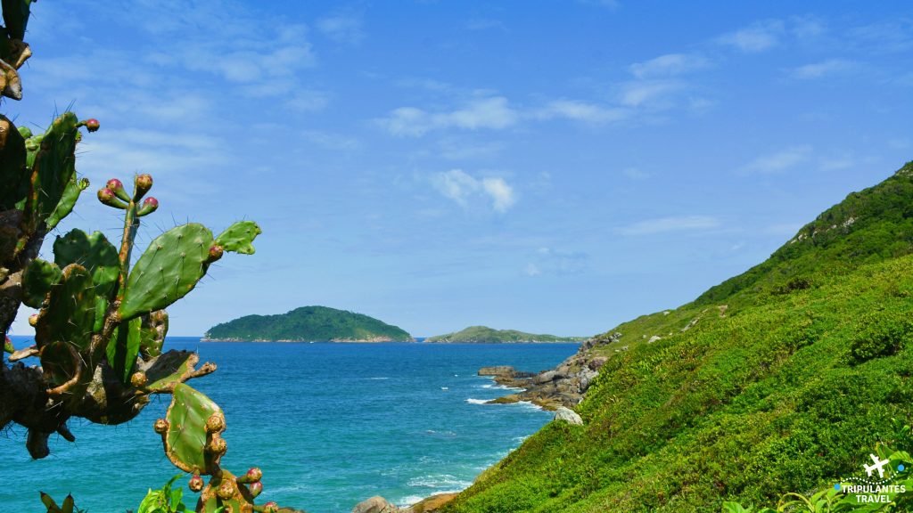Praias imperdíveis no norte da ilha Florianópolis - Início da Trilha para o Morro das Aranhas