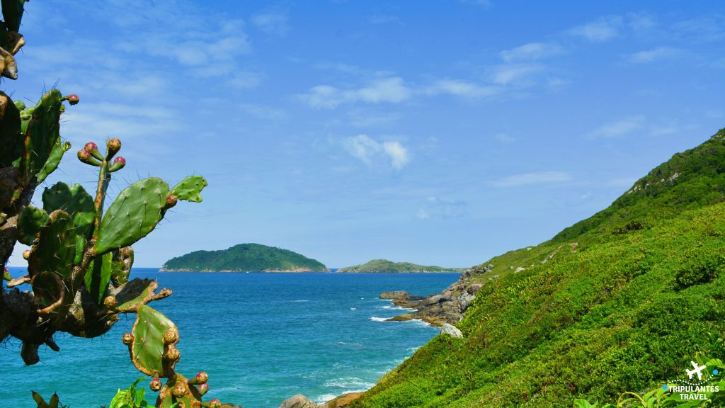 DSC 0823 1024x576 - 3 praias imperdíveis no norte de Florianópolis