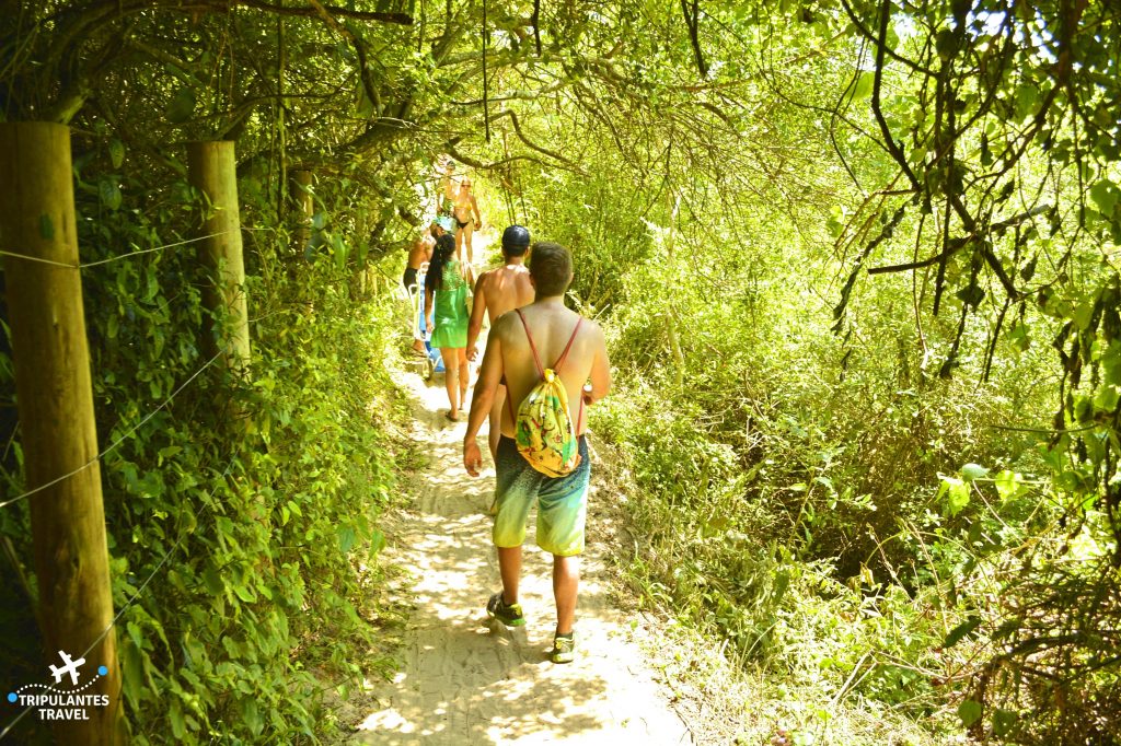 Trilha da Guarda do Embaú à Pinheira - Entrada para a Praia de Cima