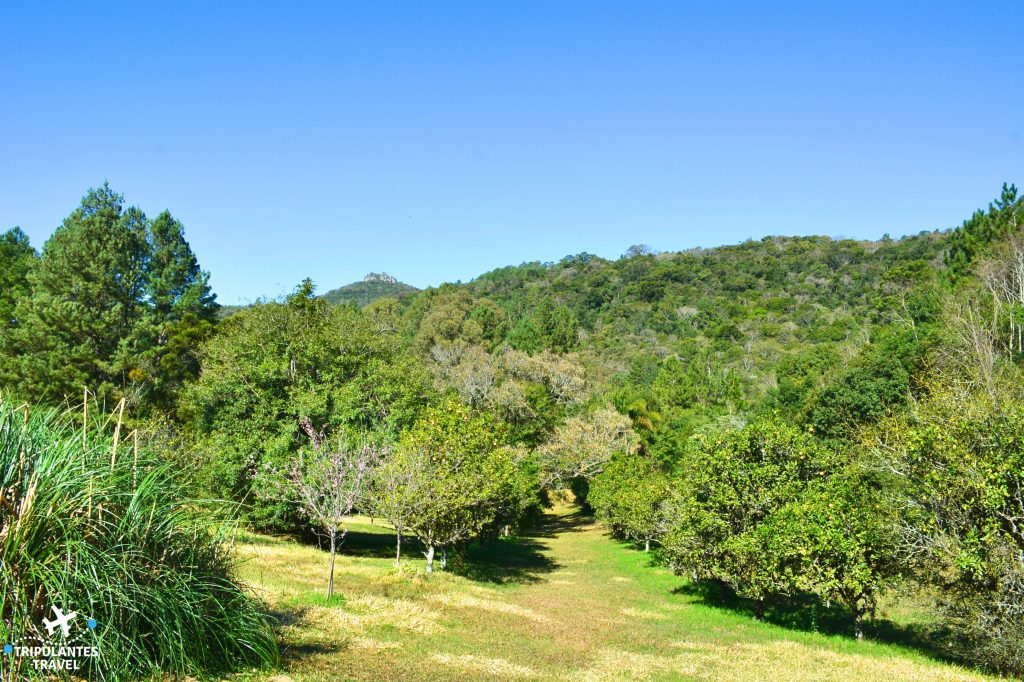 DSC 0277 1024x682 - Ecoparque Sperry em Canela, natureza fora da rota turística