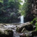 DSC0113 120x120 - Parque das 8 Cachoeiras: Um achado na serra gaúcha
