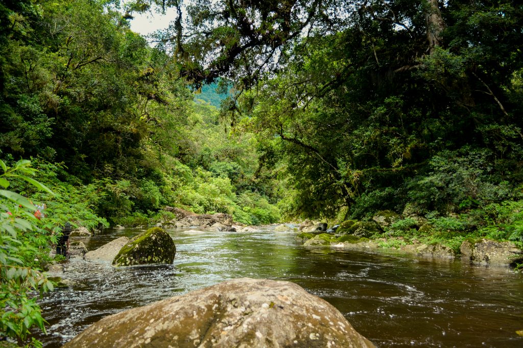 Piscinas naturais da Trilha do Tigre Preto