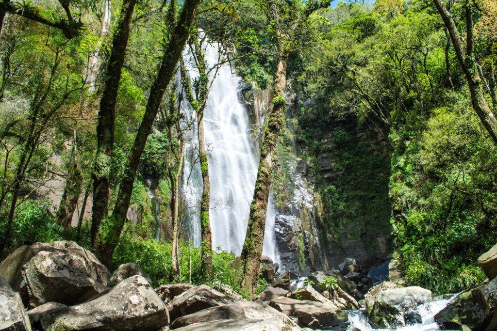 DSC0799 1024x683 - Cascata do Moinho em Progresso